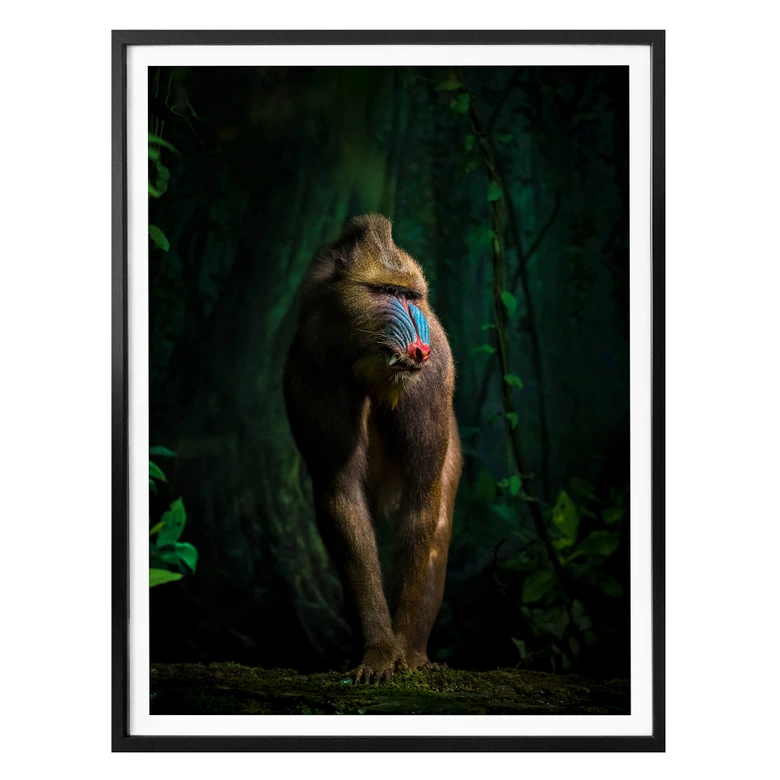 Poster Yunta - Im Dschungel 