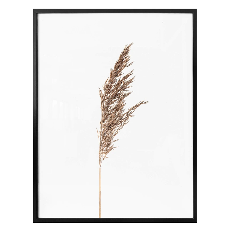 Poster Ziergras No. 1 