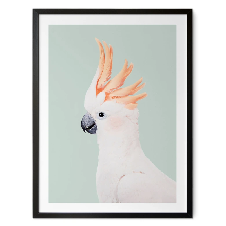 Póster retrato animal cacatúa rosa - Sisi & Seb 