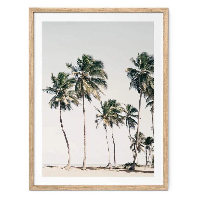 Poster Palmiers tropicaux sur la plage | L'ambiance des îles en été - Sisi & Seb 