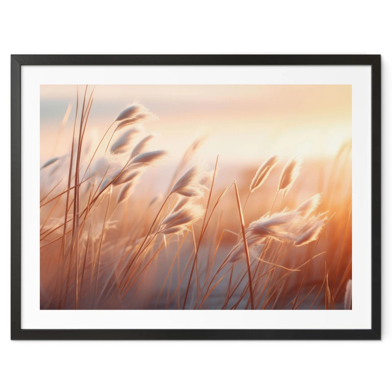 Poster Dünengras in der Abendsonne - Treechild 