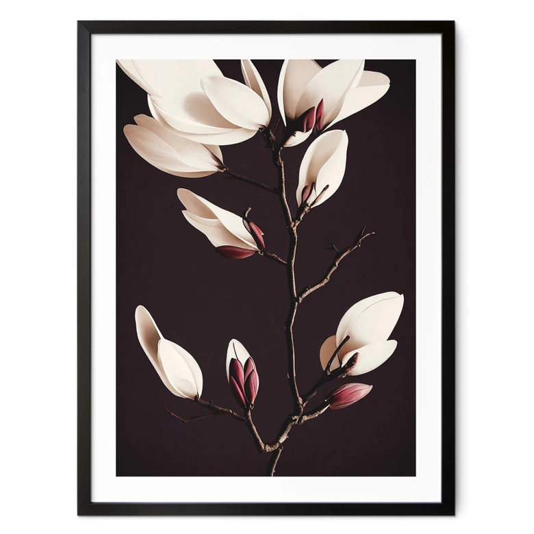 Poster Edle Magnolienblüten - Blumenposter - Treechild 