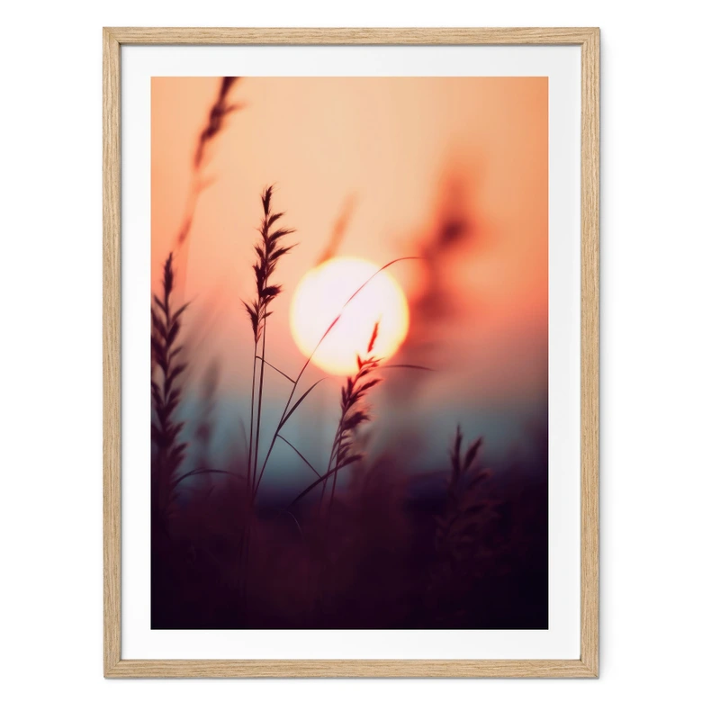 Poster Herbes sous la lumière d'un soleil de plomb - Treechild 