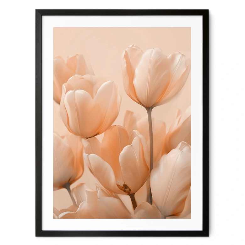 Poster Pfirsichfarbene Tulpen - Treechild 