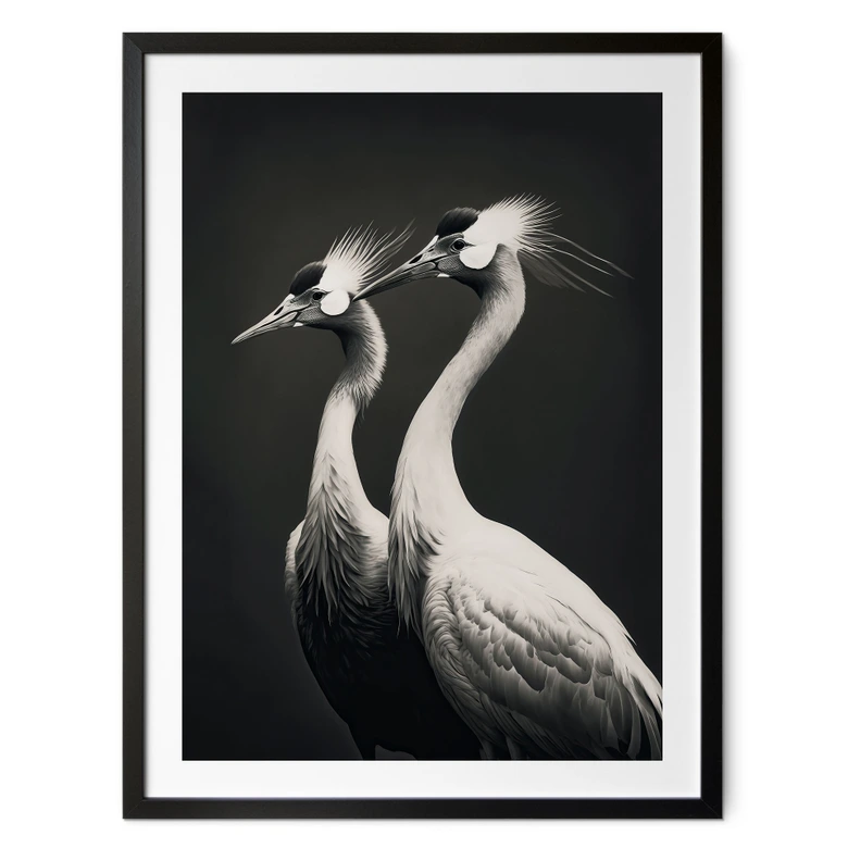 Poster Zwei Kronenkraniche in Schwarz-Weiß - Treechild 