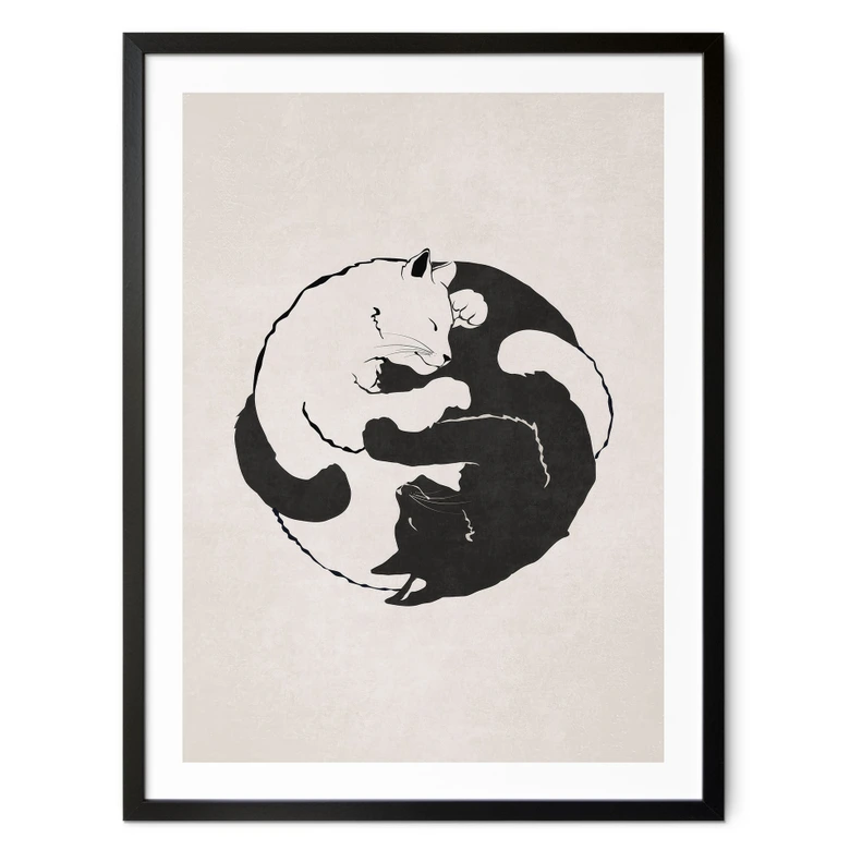 Poster Katten Ying & Yang - Tunaboylu 