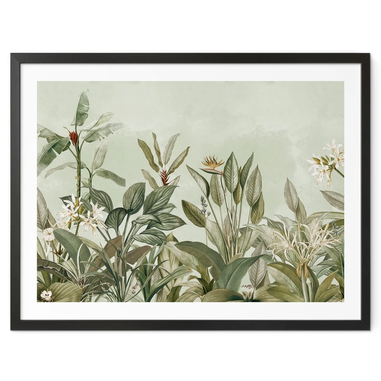 Poster Tropische plantkunde - UN Designs 
