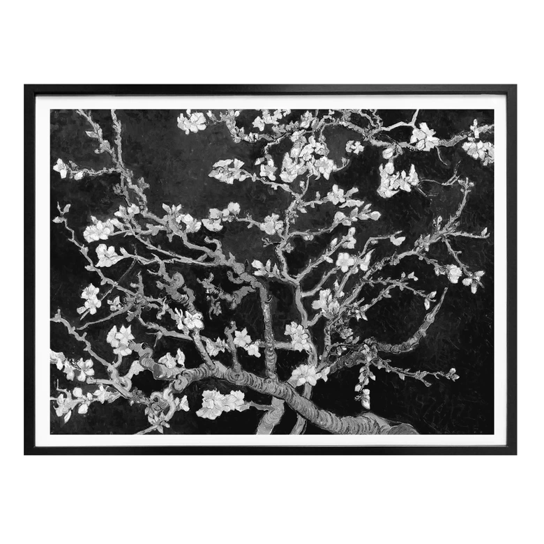 Poster van Gogh - Fleur d’amandier - noir 