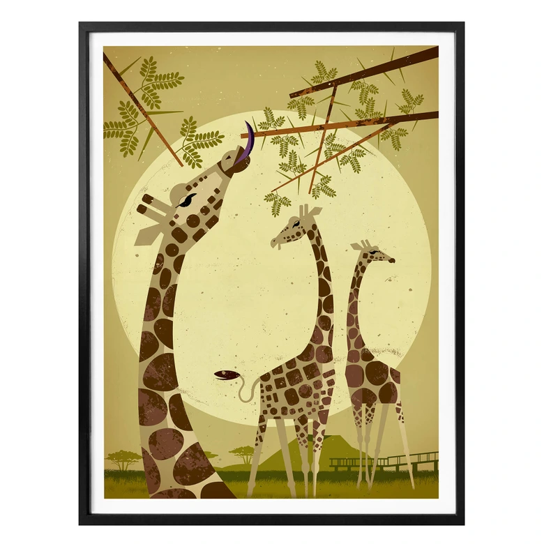 Poster Braun - Giraffes 