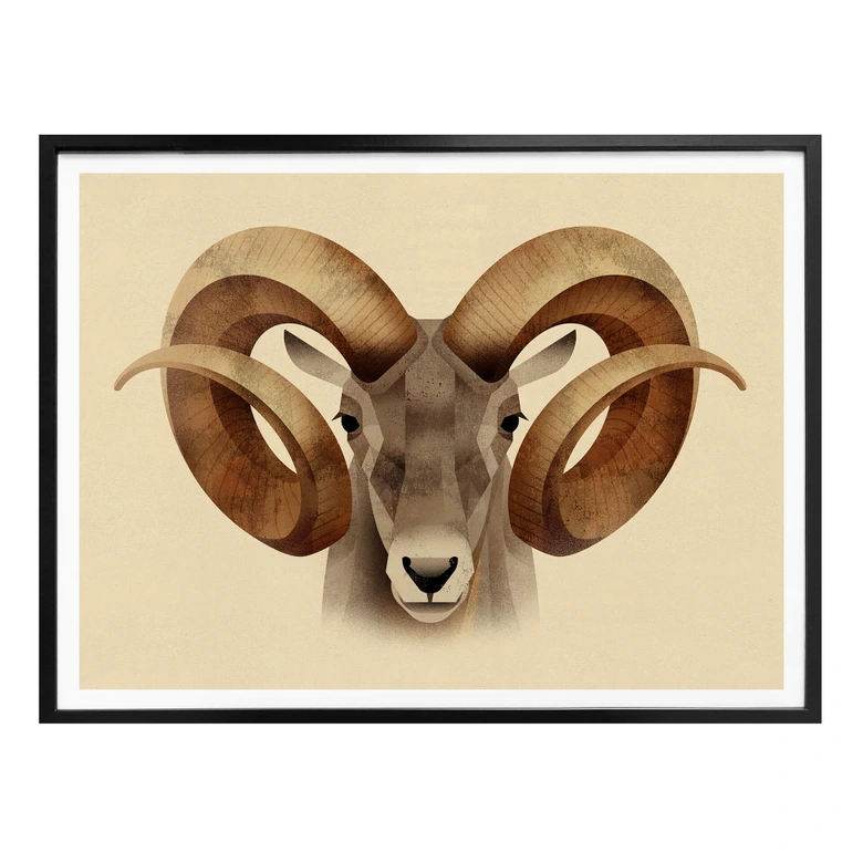 Poster Braun - Urial 