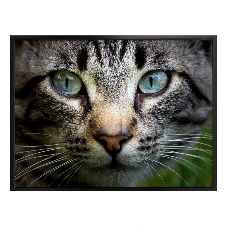 Poster Cuadrado - In Your Eyes 