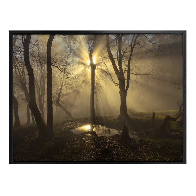 Poster Cuadrado - Light 