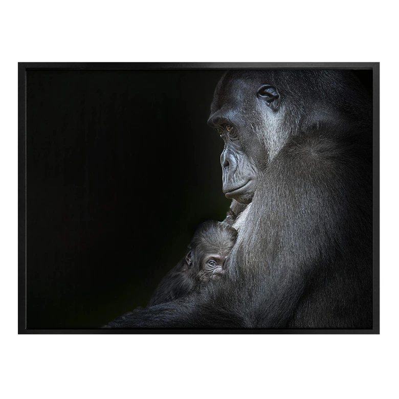 Poster Cuadrado - Tenderness 
