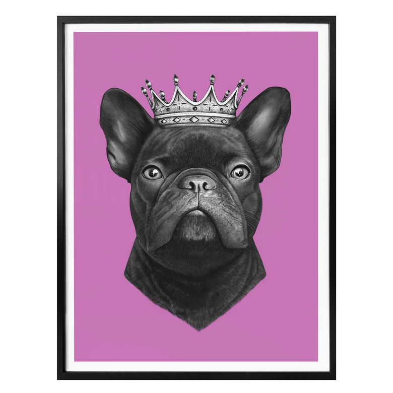 Poster Korenkova - King French Bulldog pink 