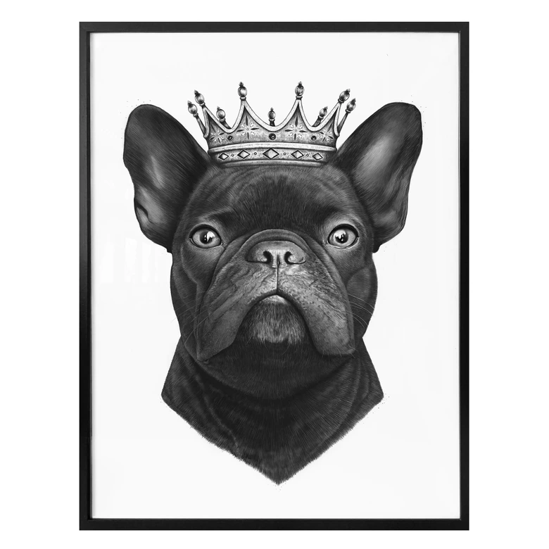Poster Korenkova - King fransk bulldogg 