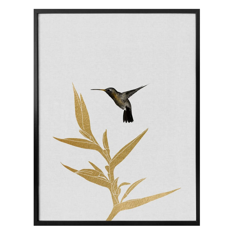 Poster Orara Studio - Hummingbird and Flower - goldene Pflanze 
