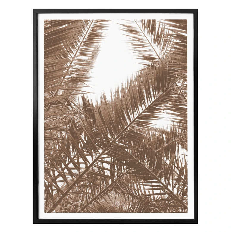 Poster Phoenixpalme 