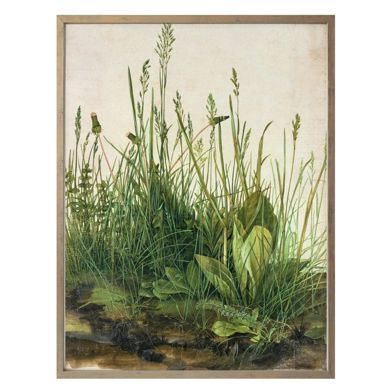 Poster Dürer - grass 