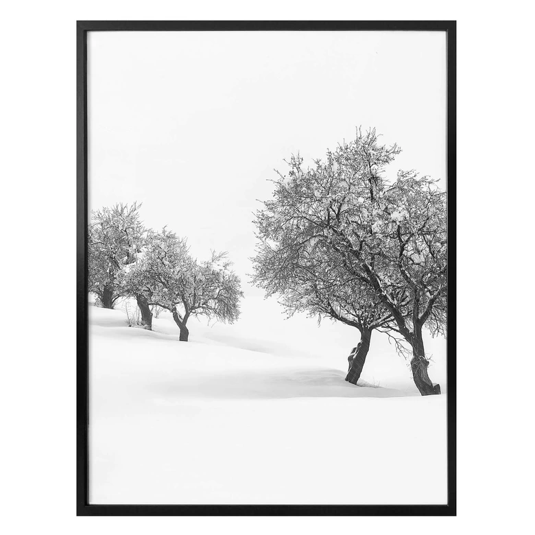 Poster Carrillo Lopez - Weiße Landschaft- Hochkant 