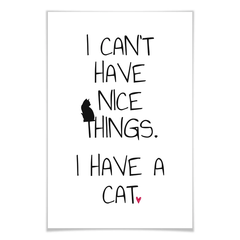 Poster I can't have nice Things - Cat 