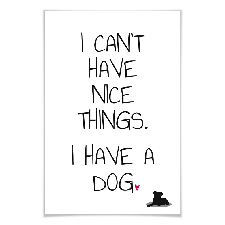 Poster I can\'t have nice Things - Dog 