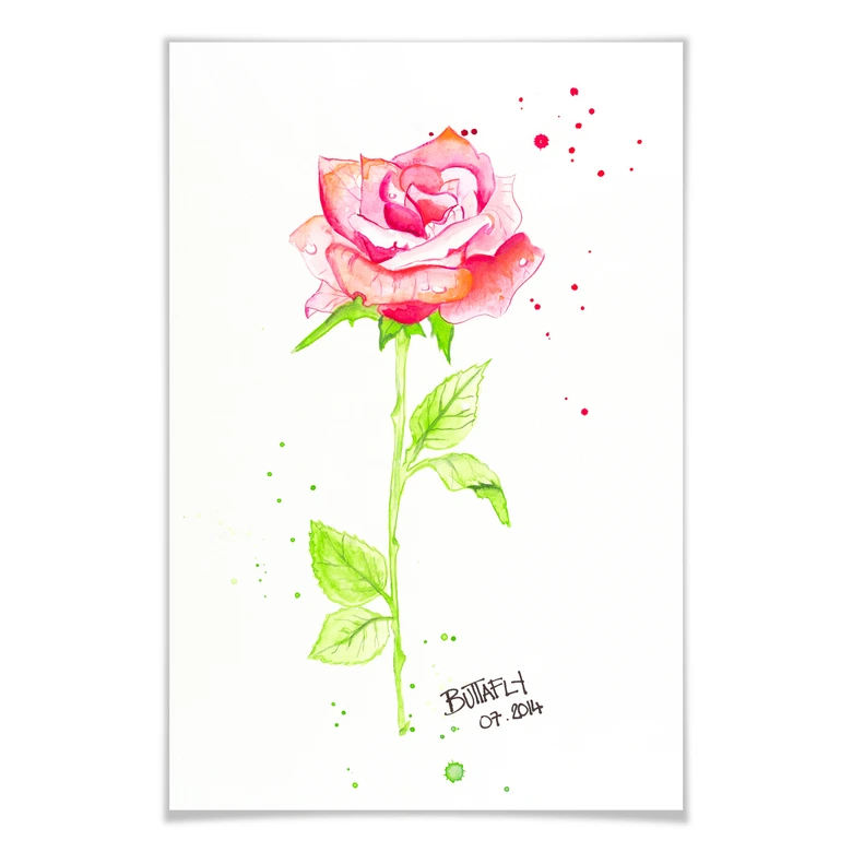 Poster Buttafly - Rose 