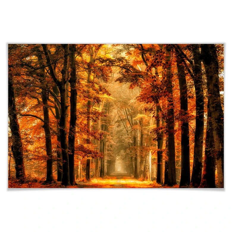 Poster van de Goor - Herbstallee 