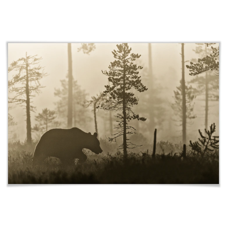 Poster Ove Linde - Ochtendnevel 