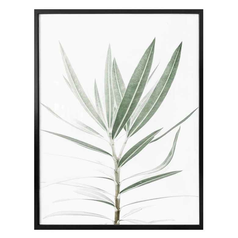 Poster Sisi & Seb - Oleander 