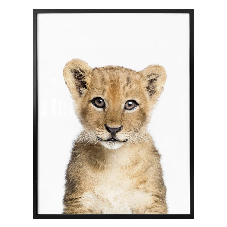 Plakat Sisi & Seb - Mały lew 