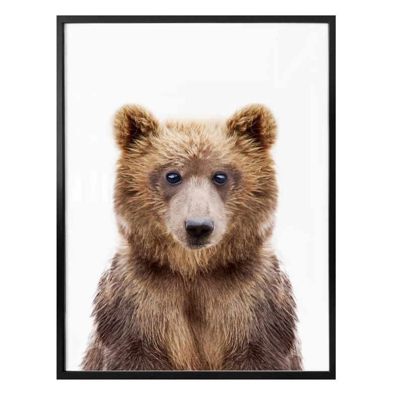 Poster Sisi & Seb - Bärenjunges 