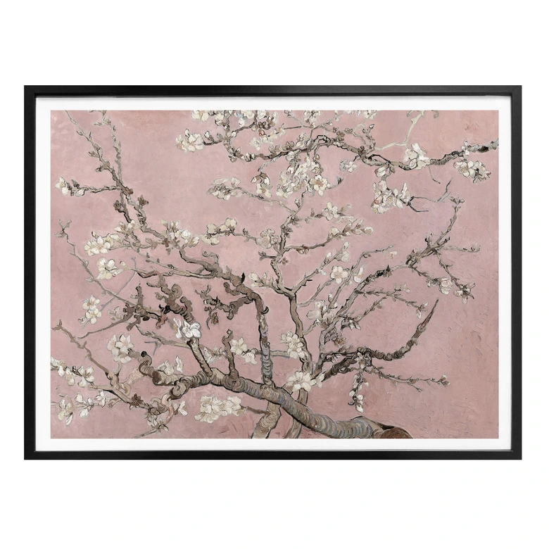 Poster van Gogh - Amandier en fleurs Rosé 
