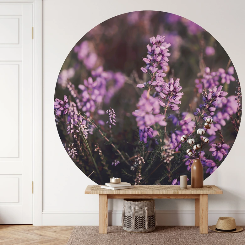 Natur Fototapete Lila Heideblüte im warmen Licht - Annie - Rund - Selbstklebend/Vlies 