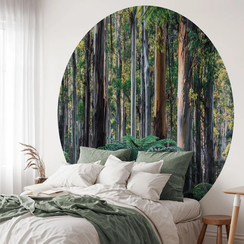 Fototapete Eukalyptuswald in den Yarra Ranges | Waldtapete - Colombo - Rund - Selbstklebend/Vlies 