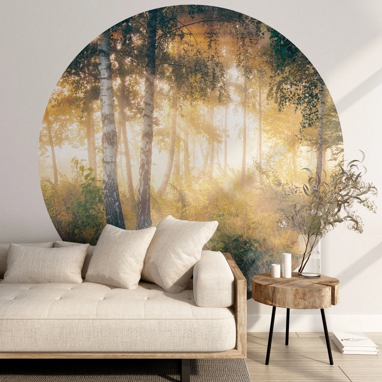 Słońce w brzozowym lesie - Fototapeta leśna - Kado - Okrągła - tapeta flizelinowa/tapeta flizelinowa samoprzylepna 