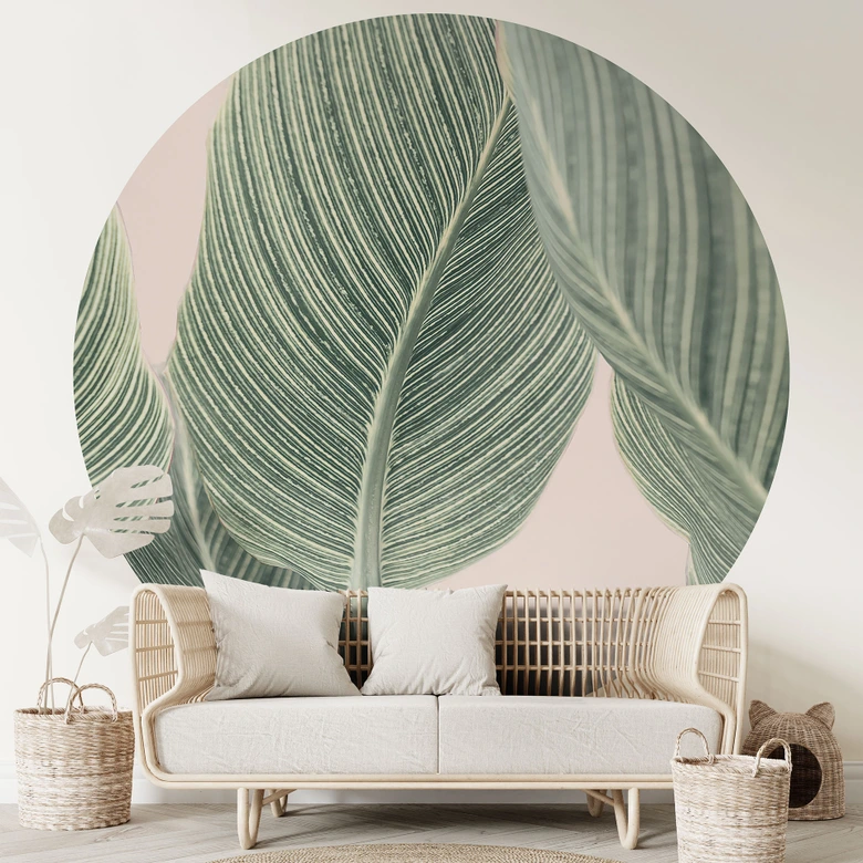 Papier peint photo rond Plante Calathea - Sisi & Seb - papier peint intissé/papier peint intissé autocollant 