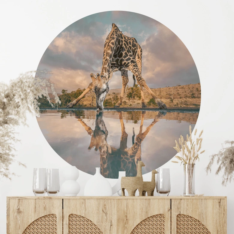 Wandtattoo Reflexion einer Giraffe in der Wildnis - Amtmann - Rund 