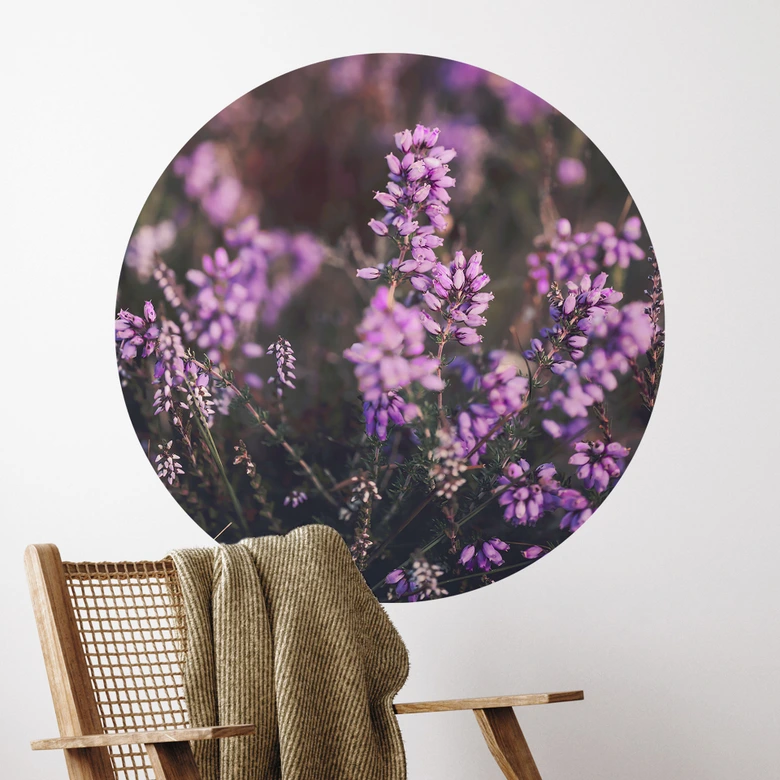 Sticker mural Fleur de bruyère violette dans la lumière chaude | Fleurs stickers muraux - Annie - Rond 