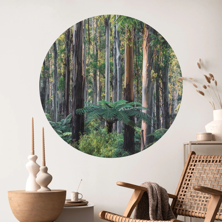 Eukalyptusskov i Yarra Ranges Wallsticker - Colombo - Round 