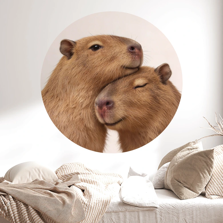 Wandtattoo Kuschelndes Capybara-Pärchen - Rund 