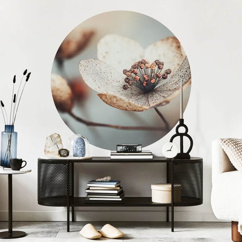 Blumen Wandtattoo Boho Trockenblume Makro - Treechild - Rund 