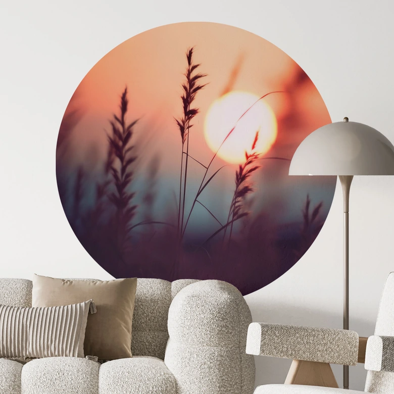 Natur Wandtattoo Gräser im Licht der glühenden Sonne - Treechild - Rund 