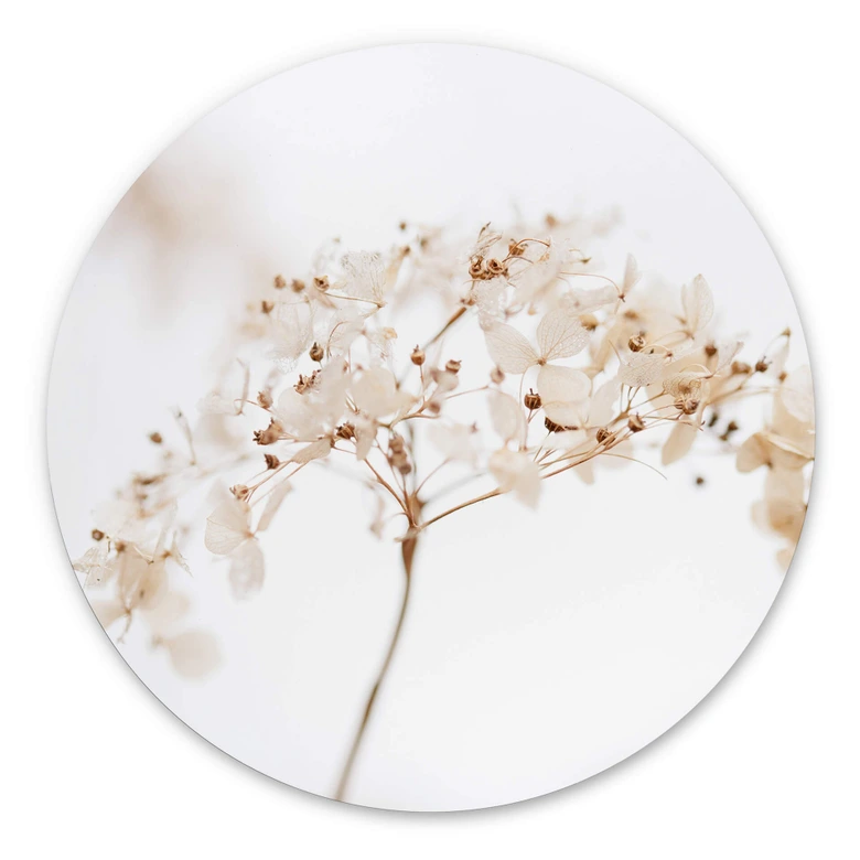 Wandcirkel 1X Studio - Delicate Flowers 