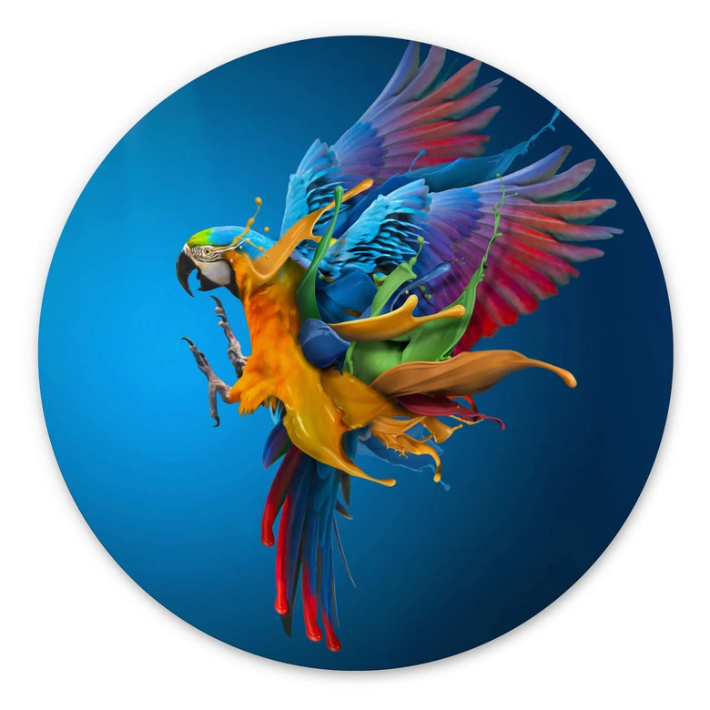 Wandcirkel Almawash - Kleurrijke Papegaai 