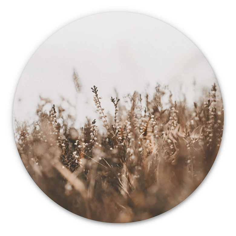 Tableau sur alu-Dibond Annie - Herbes des prés - Rond 