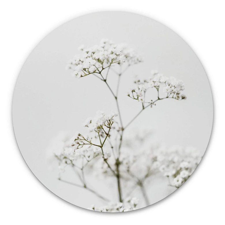 Wandcirkel Annie - Meadow 