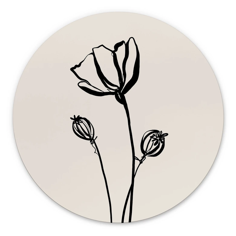 Wandbild Line Art Mohnblume - Cats & Dotz - Alu-Dibond Rund 