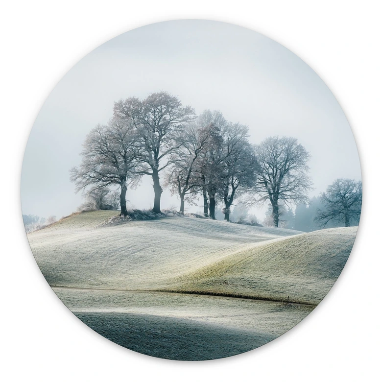 Wandbild Frostige Hügellandschaft - Eisenmann - Alu-Dibond Rund 