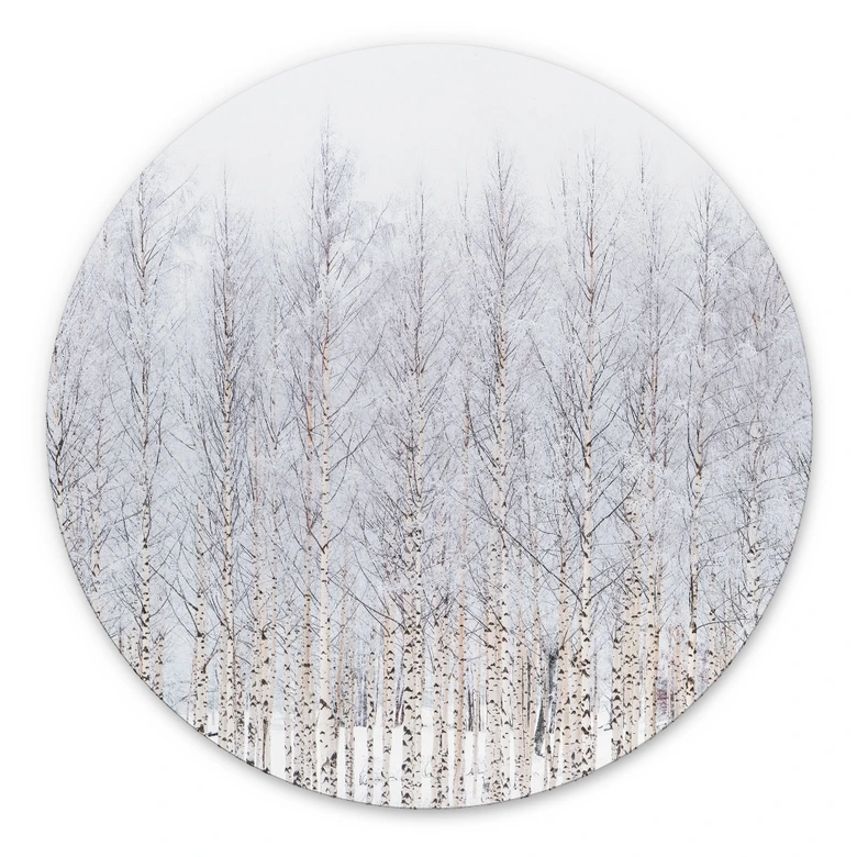Wandbild Birkenwald im Winter - EMELIEmaria - Alu-Dibond Rund 