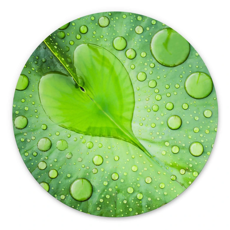 Alu-Dibond Foto - Herz aus Wassertropfen auf grünem Blatt - Rund 
